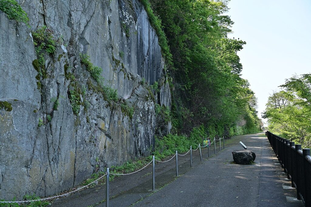 親不知